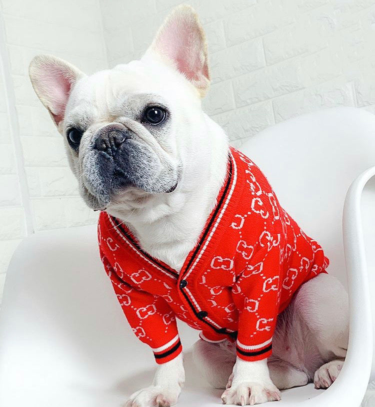 Pucci Classy Dog Cardigan – Puppocino & Co.