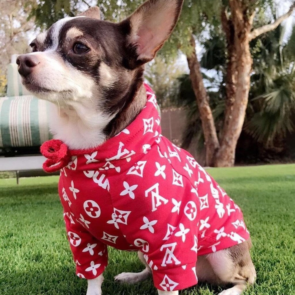 Supreme louis vuitton dog cheap collar