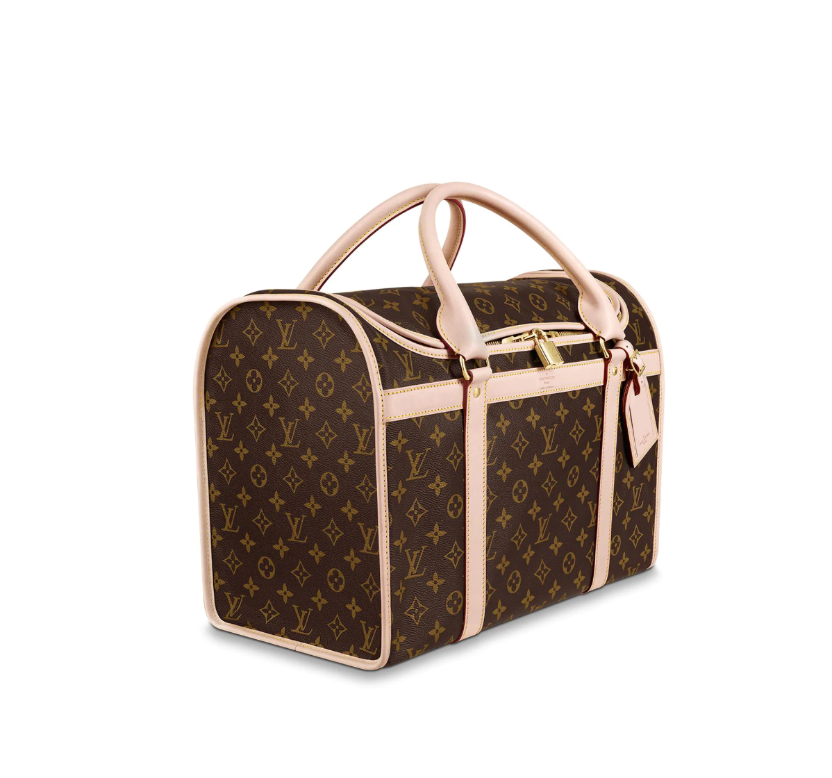 Louis vuitton cat carrier on sale
