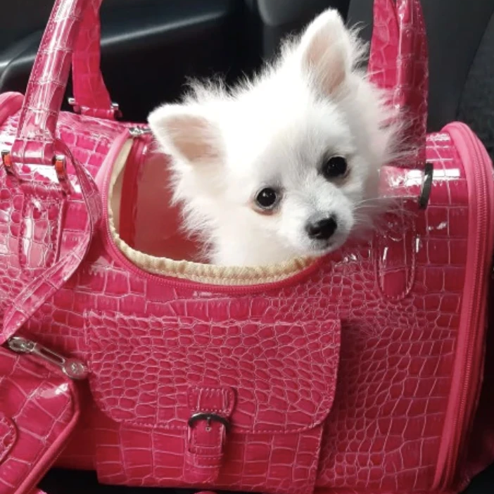 Lets Go Shopping Carrier - Pink
