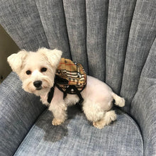 Load image into Gallery viewer, Furberri Backpack