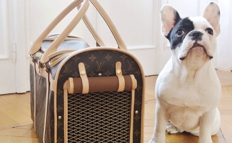 louis vuitton dog stroller Louis Pet Carrier 50 – Puppocino & Co