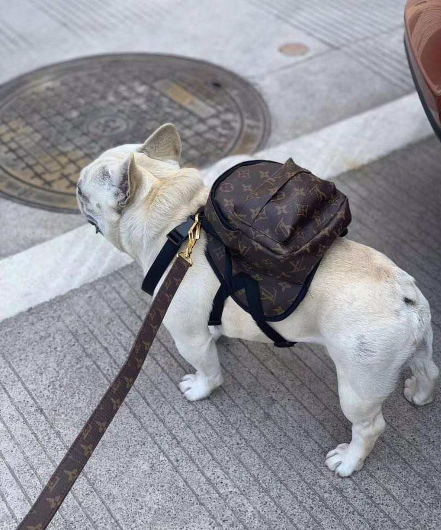 BACKPACKS