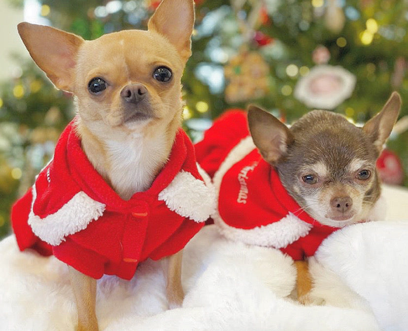 "Mrs. Claus" Christmas Dress