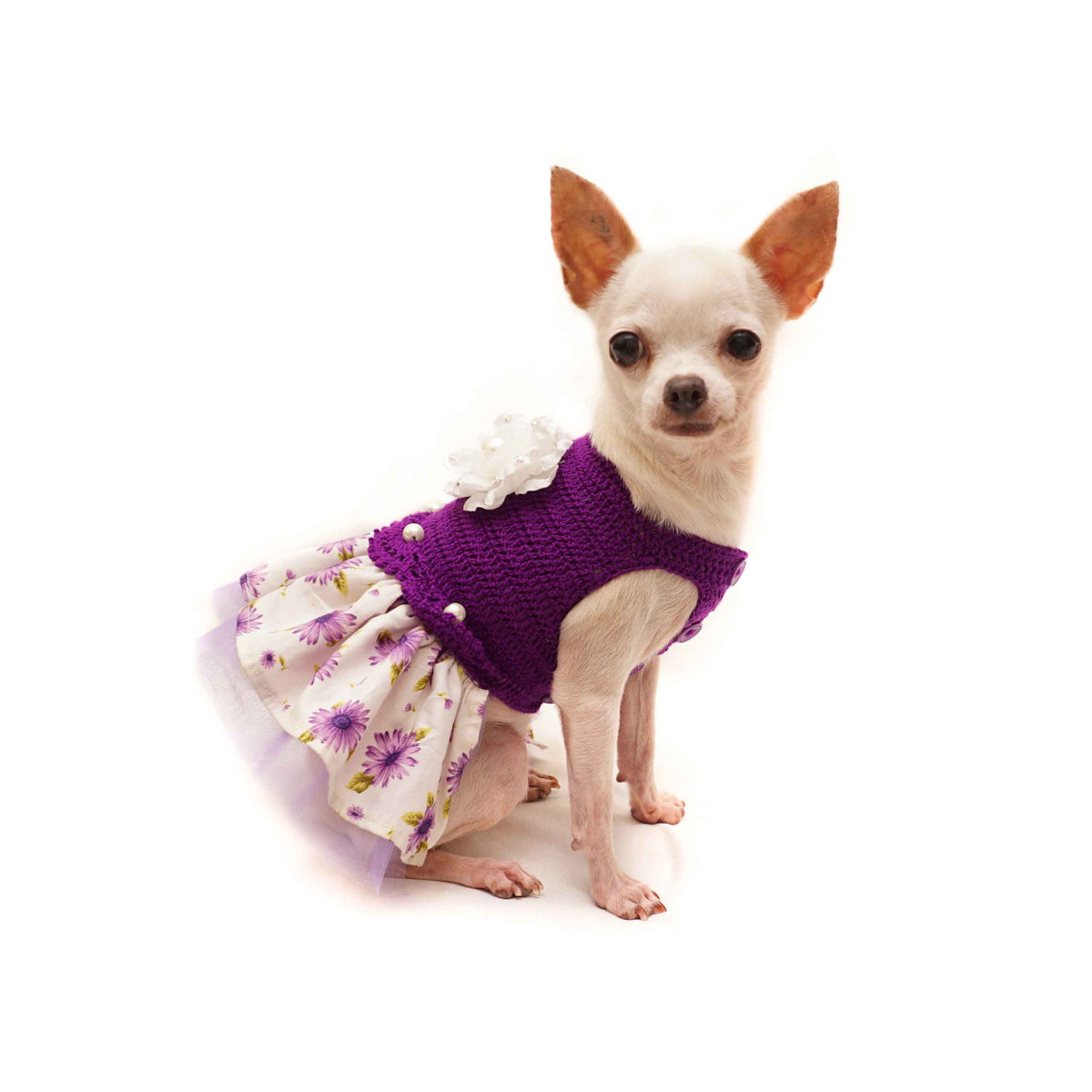 Royal Vacation Crochet Sweater Dress