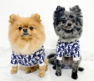 Dogior Knit Sweater