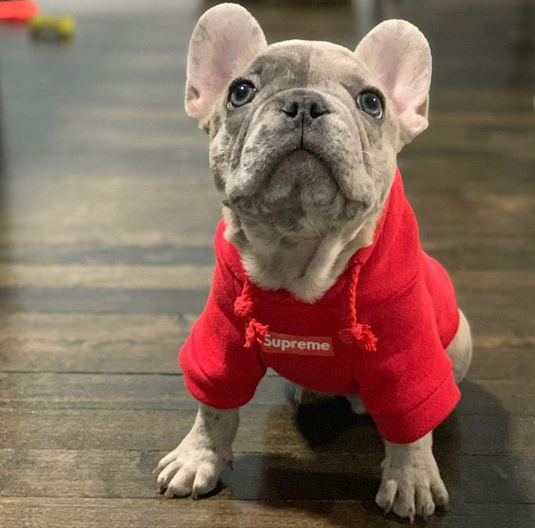 Basic Super Hoodie - Red