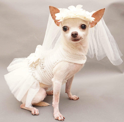 Bridal Dress for Dog Wedding Occasion with Veil