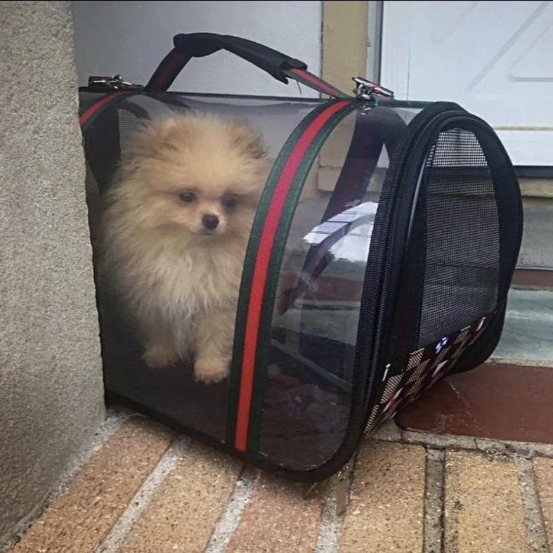 Transparent Carrier