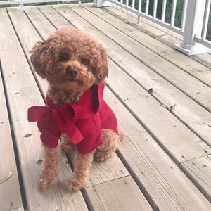 "It's Chilly Outside" Coat - Red