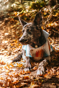 Mexican Blanket Cape Jacket