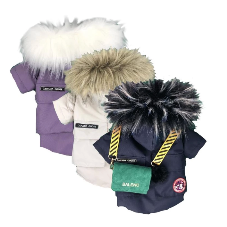 Canada goose top dog jacket india