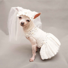 Load image into Gallery viewer, Simple Bridal Dress for Dog Wedding Occasion with Veil