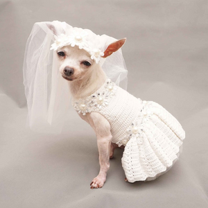 white dog dress UOSIA Formal Dresses for Large Dogs Dog Bridesmaid Birthday Party Tutu with Tulle Lace & Bow Decor Summer Pet Princess Costume for Female Dogs,3XL : Pet Supplies The juiciest dress of the summer has to be our Citrus Slice Dog Dress Simple Bridal Dress for Dog