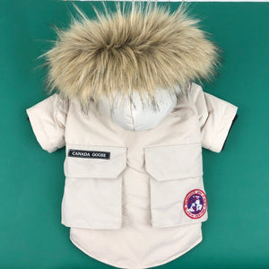 Canada Dog Jacket – Puppocino1