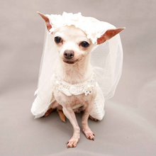 Cargar imagen en el visor de la galería, Bridal Dress for Dog Wedding Occasion with Veil