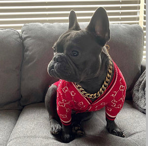 Pucci Classy Dog Cardigan